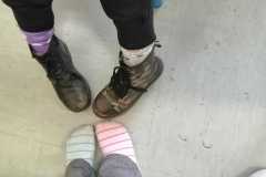 IMG-20210209-WA0021